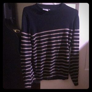 WESC Navy Striped Sweater